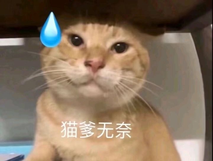 资本你赢了截图