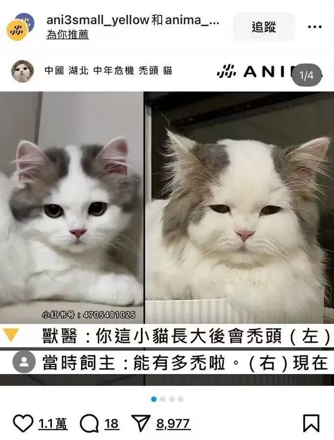 云存档不会是无限存备份吧截图