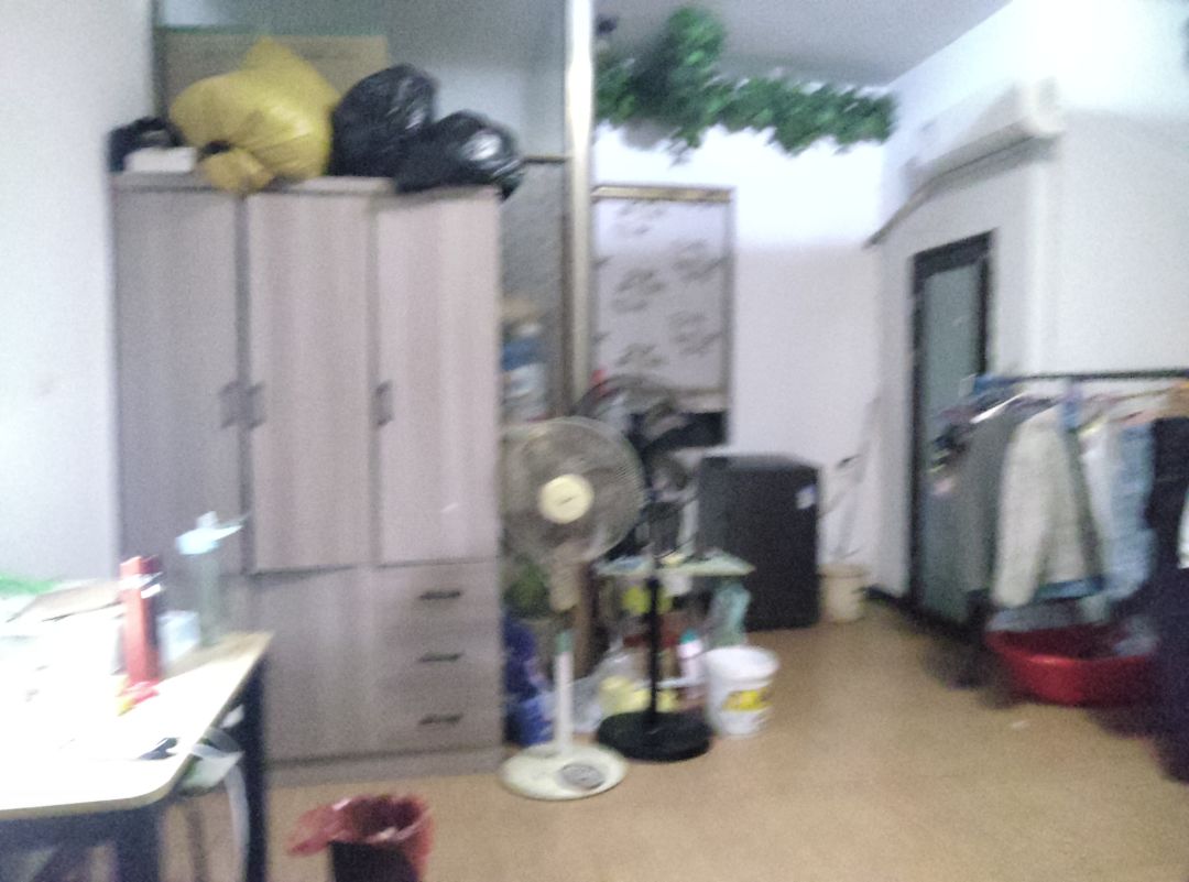 动态图片 16