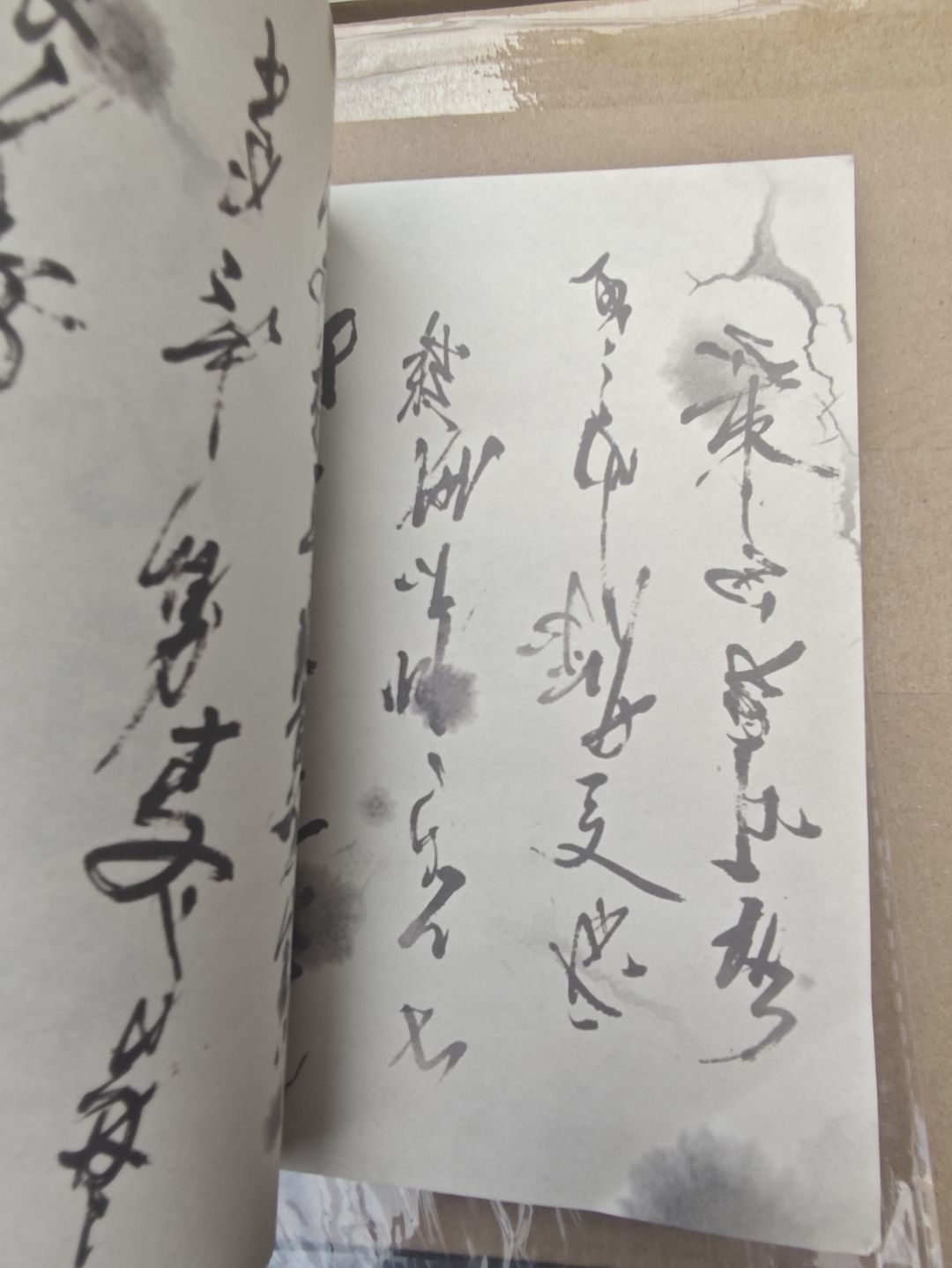 原来是武林秘籍和传世宝扇 6