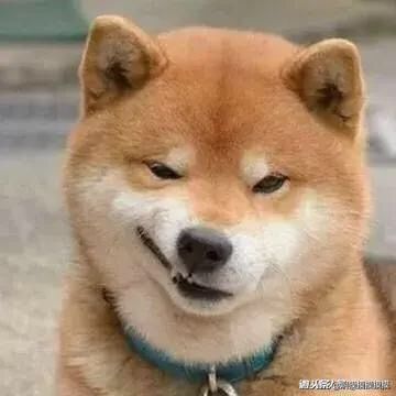 贾府能不能来个赢家中场截图