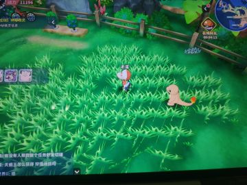 晚上刚出，爽玩