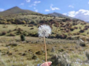 猫猫包简介，从入门到入土