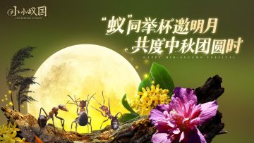 （已开奖）【中秋活动】蚁国首届中秋诗词大赛开启，参与赢中秋团圆礼！