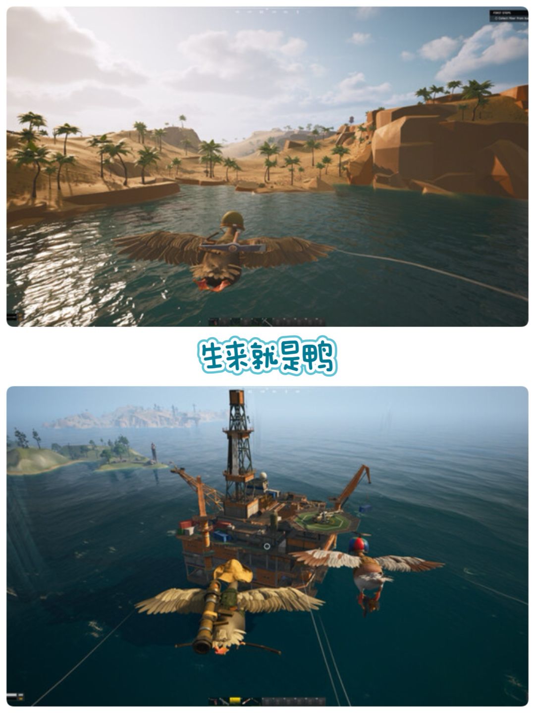 新多人生存游戏之鸭味求生🦆嘎 2