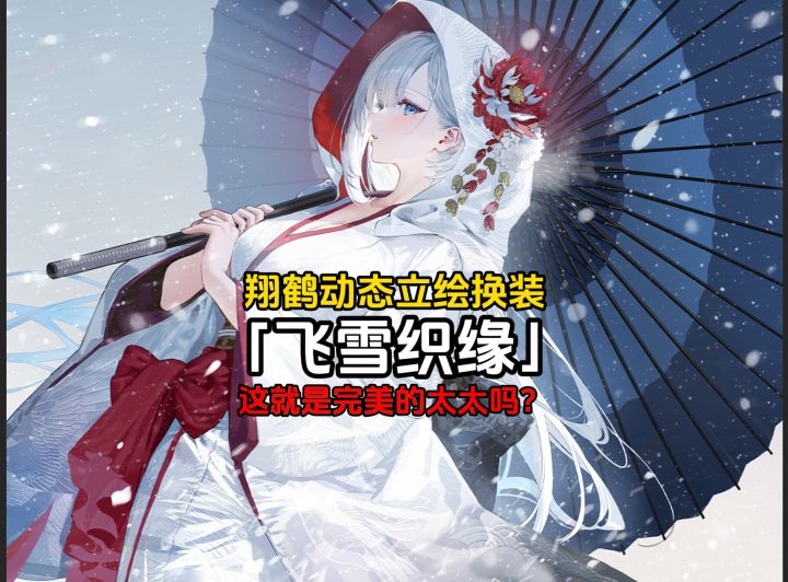 碧蓝皮肤鉴赏之翔鹤动态立绘换装「飞雪织缘」截图