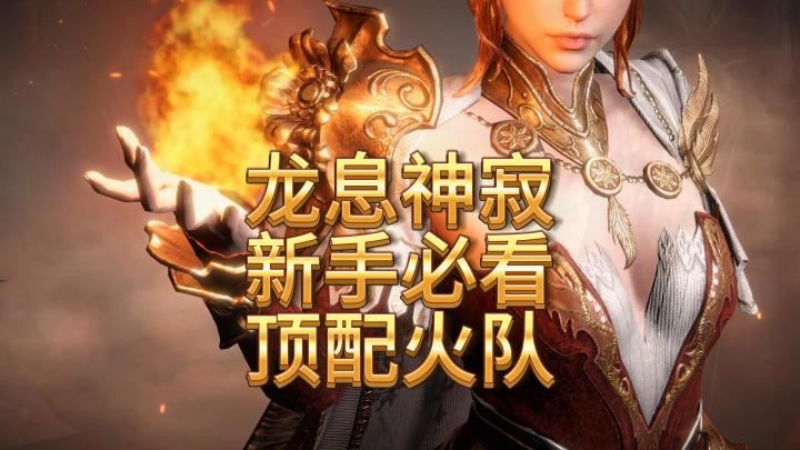 龙息神寂新手必看-组队攻略之火队截图