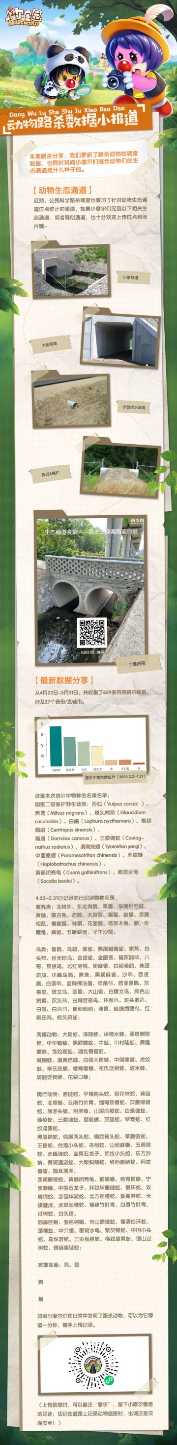 《摩尔庄园》动物路杀科普课堂｜第四期