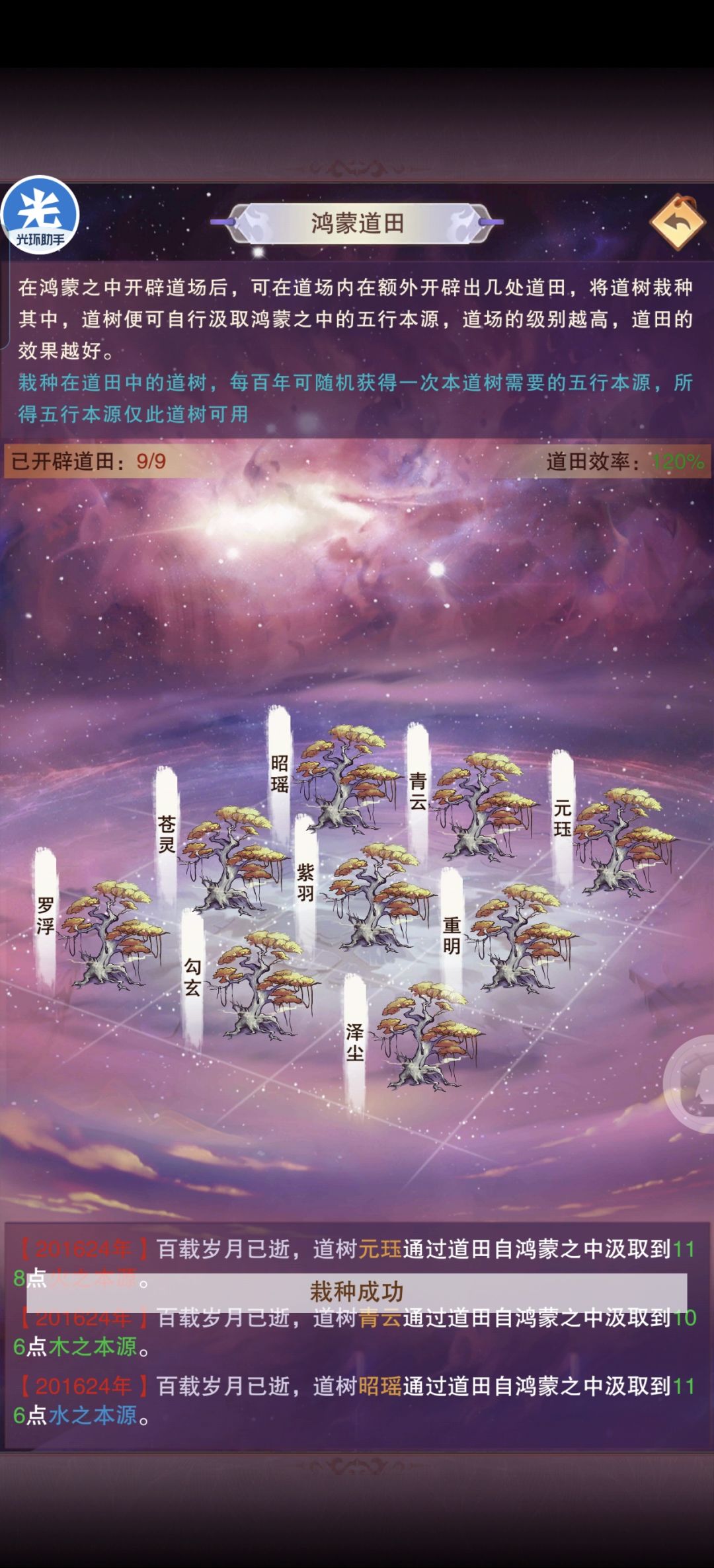 道尊树 1