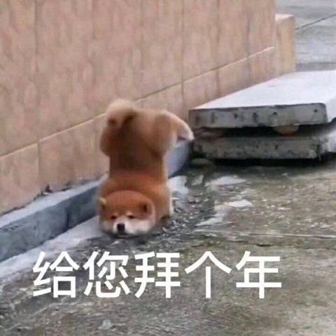 动态图片 3