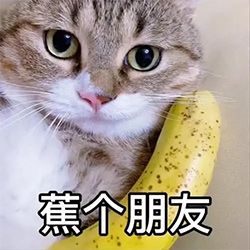 天启行动招聘启事！！！（假装的）