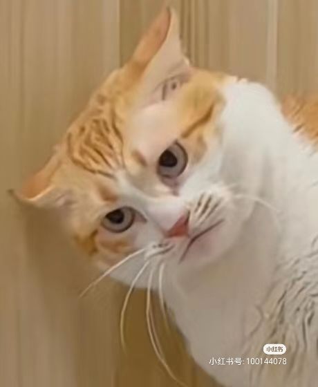 谁懂呀?!!截图