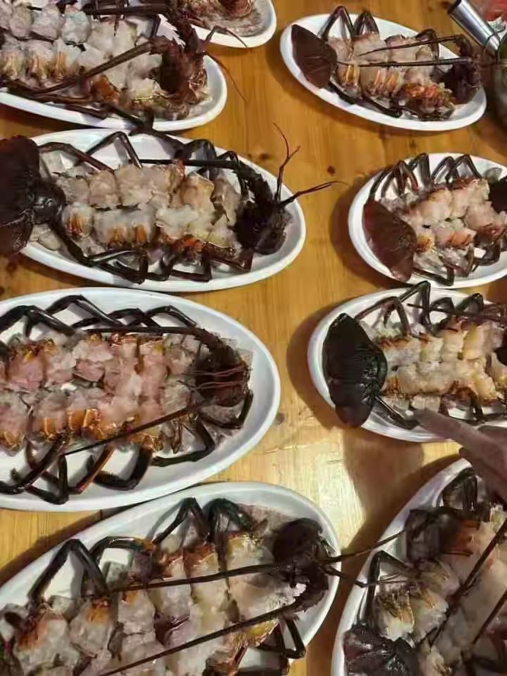 请问战斗宠物的抽卡次数可以保留吗?截图