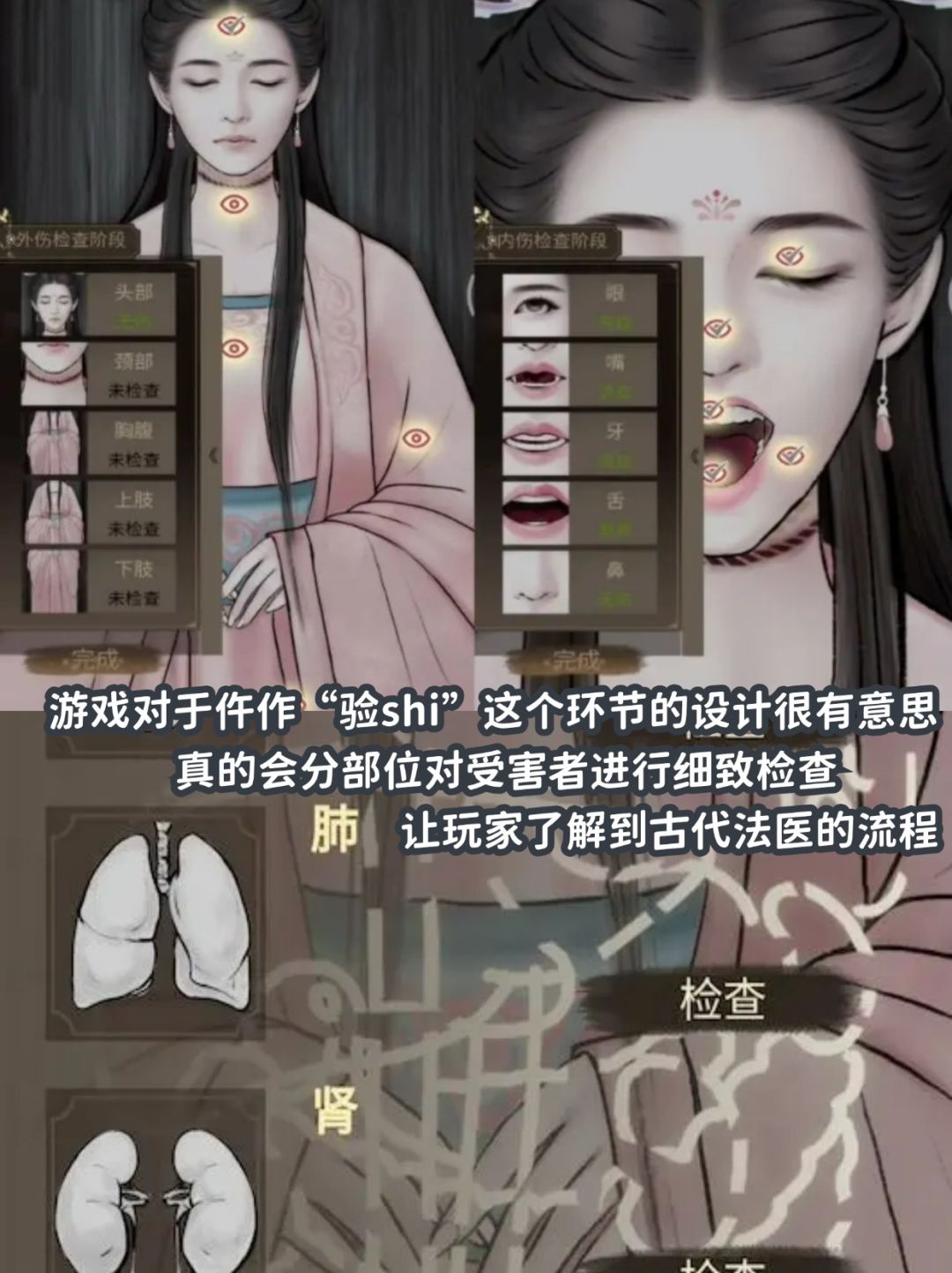 双男主国风探案!!我在古代当法医! 3