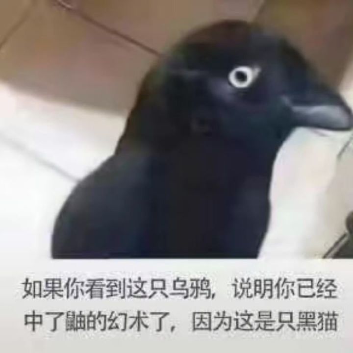 这比军八真难玩啊截图
