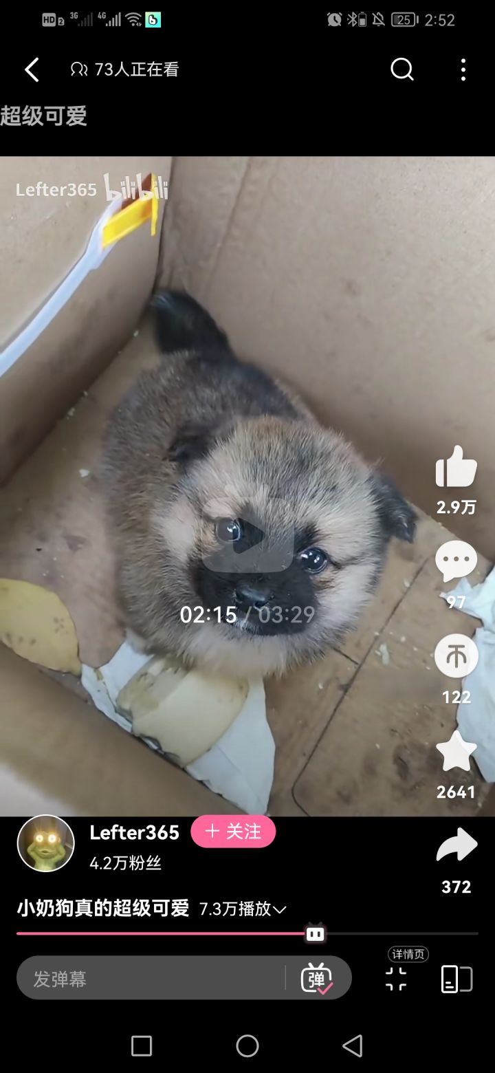 是永久的，还是暂时的？截图