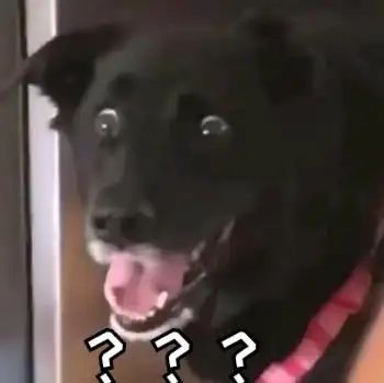 战士装备特性词条怎么选择？截图
