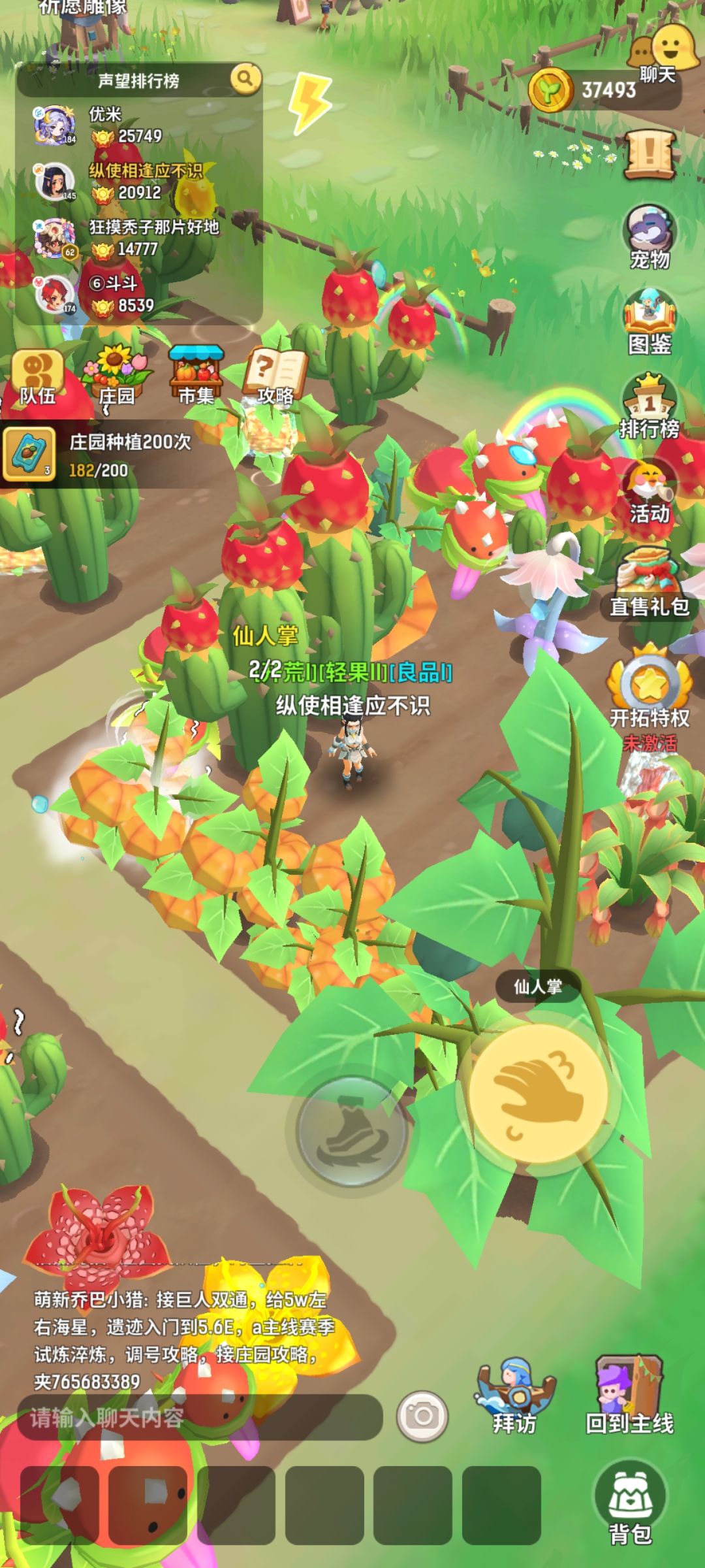 挂特性真的是看运气吗 1