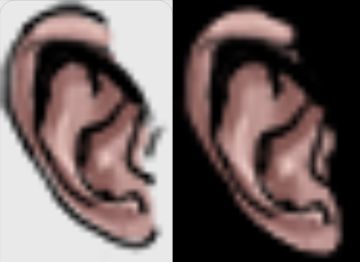 赛宁新耳朵（赛神版本）