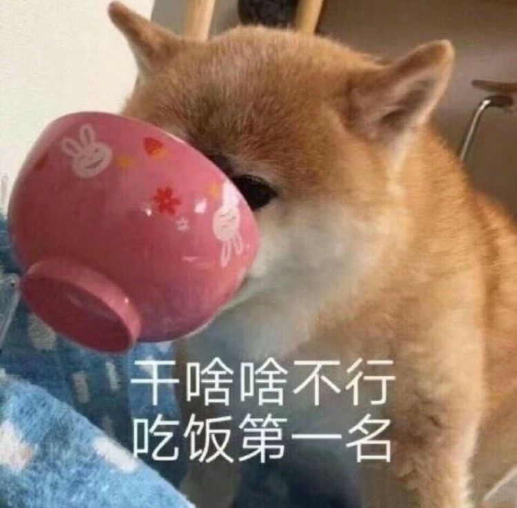 你游能给我一个测试资格吗 1
