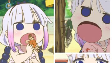 明日方舟没用知识合集76