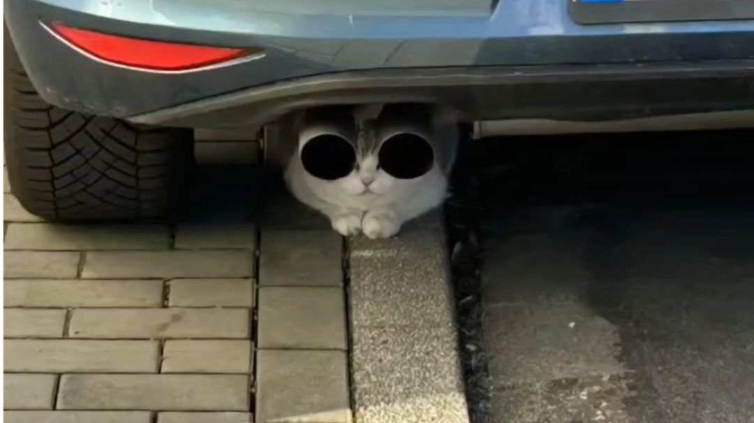 猎人元三截图