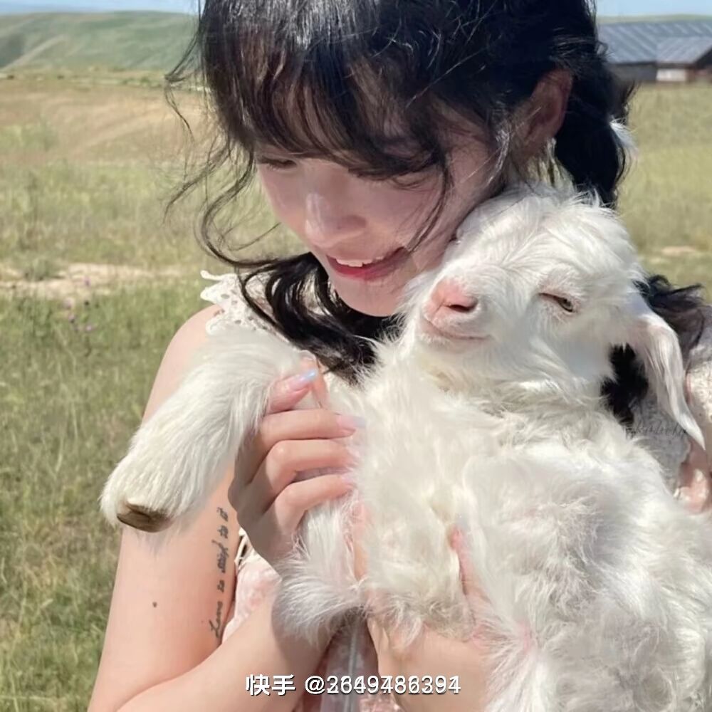 动态图片 7