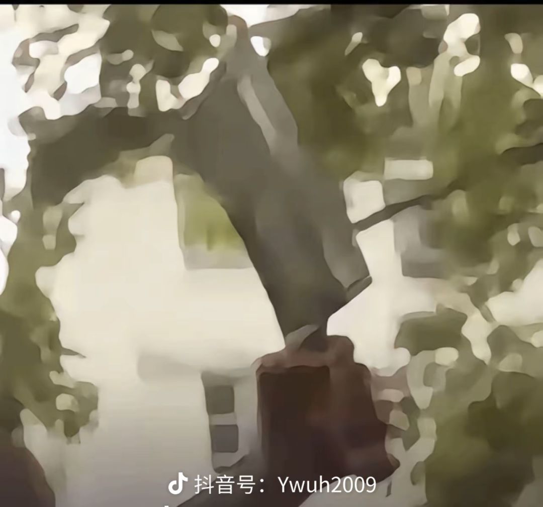 举报别人大佬免费带本的人 3