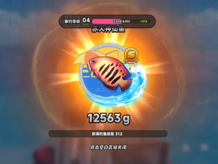 站在抄作业后回看的角度上截图