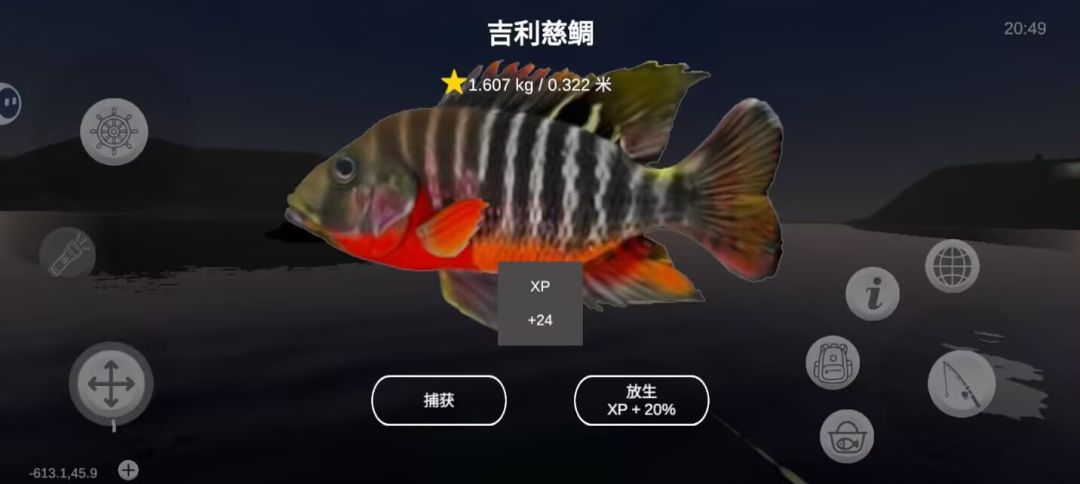 黄星鱼欣赏 2