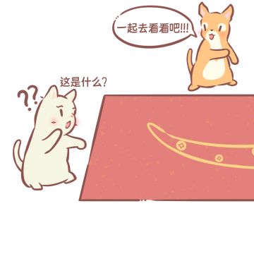 猫咪和汤 | 右滑看看两只猫发现了什么……
