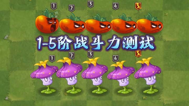 植物大战僵尸:1-5阶战斗力测试,终极番茄vs激光皇冠花!截图