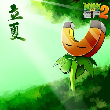 【玉米卷的知识库】立夏