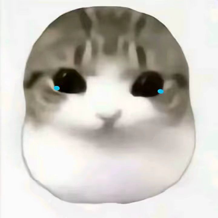 动态图片 4