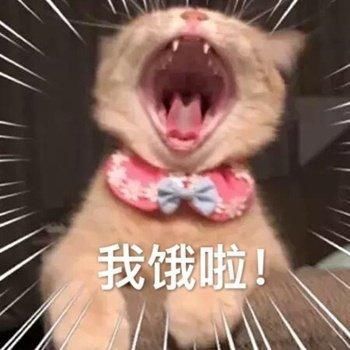 玩了十几年回合制,说下感受截图