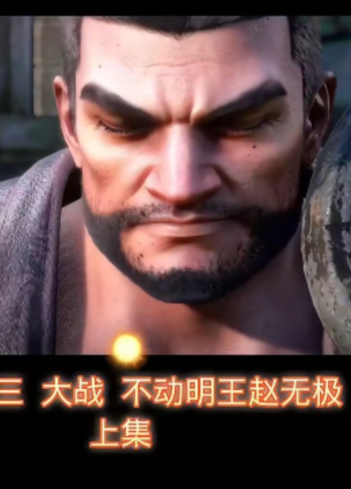 这不就是赵无极吗?建议把青狮子王大招改成武魂真身 3
