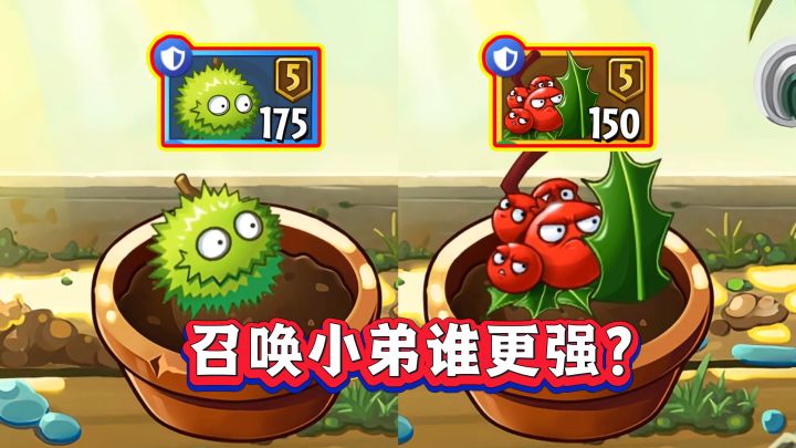 同样能召唤小弟!蓝卡板栗小队VS金卡冬青骑士,谁实用性最高?截图