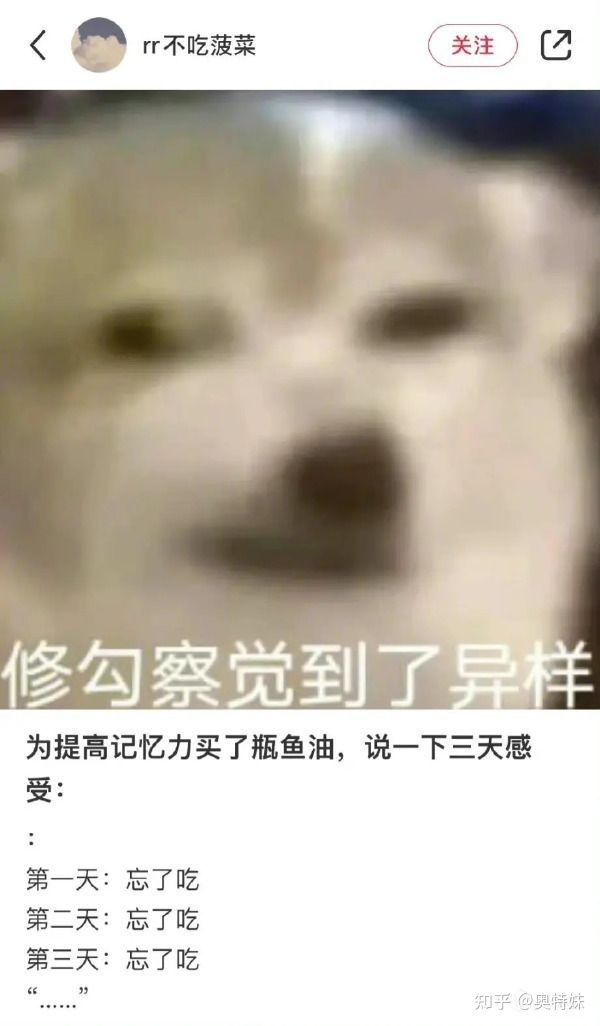 阳刀的大佬们,救命🆘 2