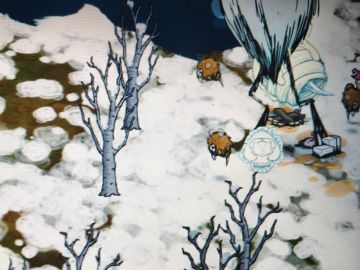 巅峰哥（被举报缩减图片消失版）