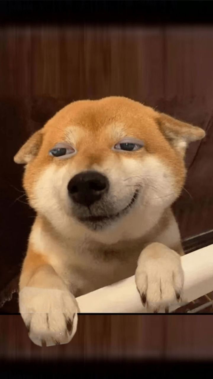 传家宝属性到底怎么算的啊?截图