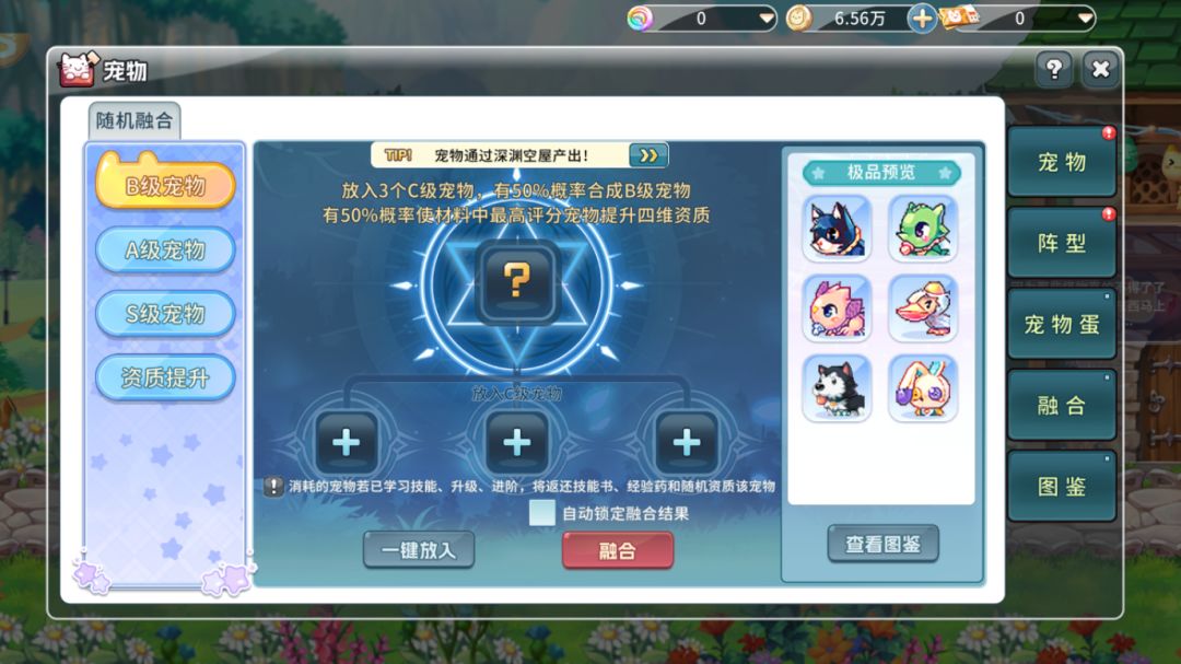 永恒岛:爱丽丝之境 3