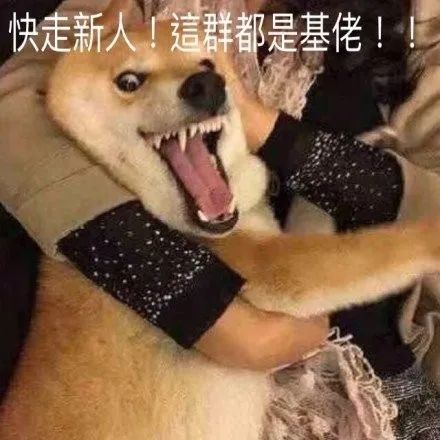 感觉新装备不太行啊，截图