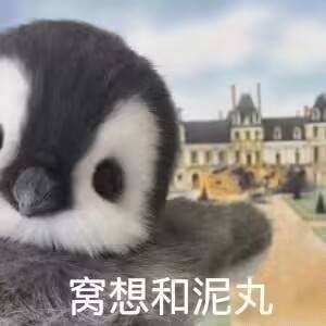 【周年活动】周年特别活动开启，参与领福利~