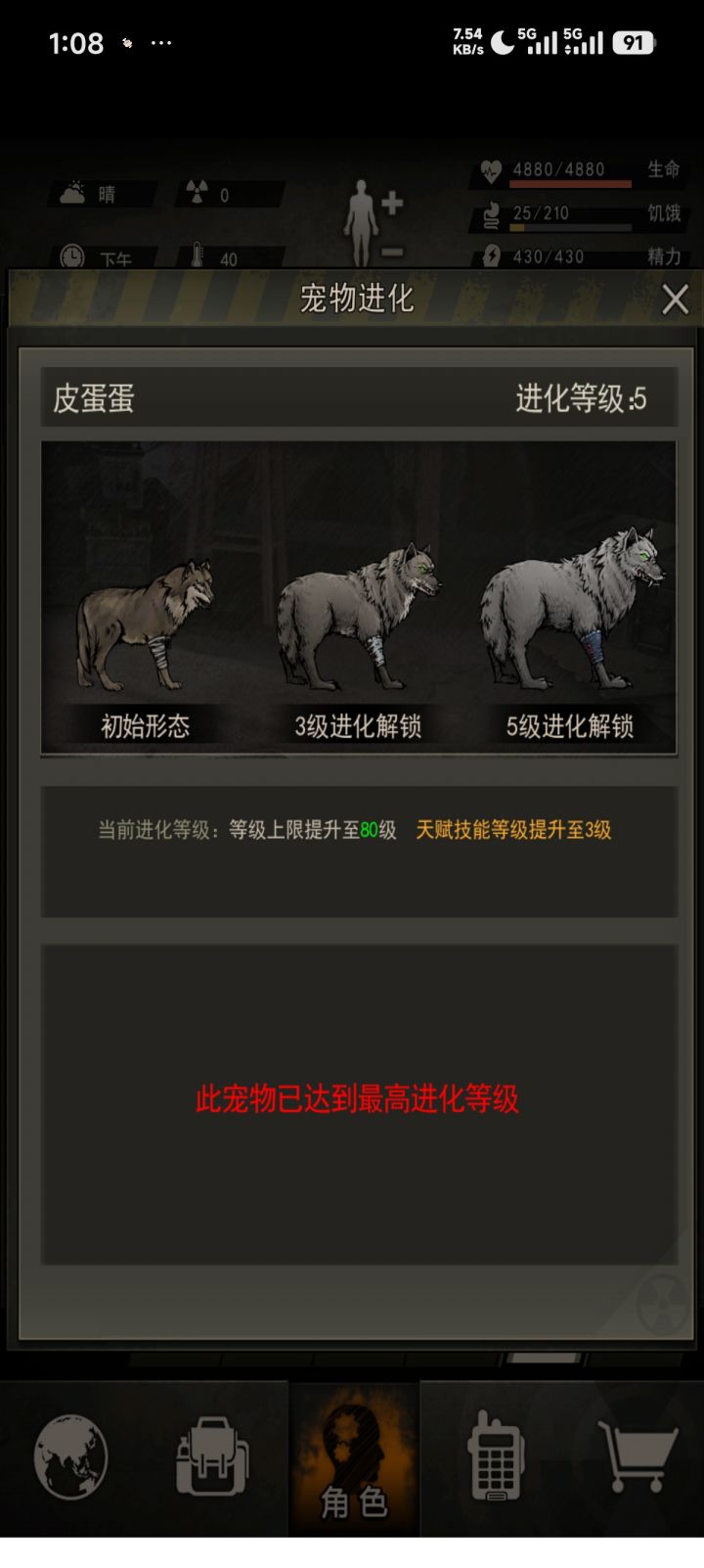 宠物截图