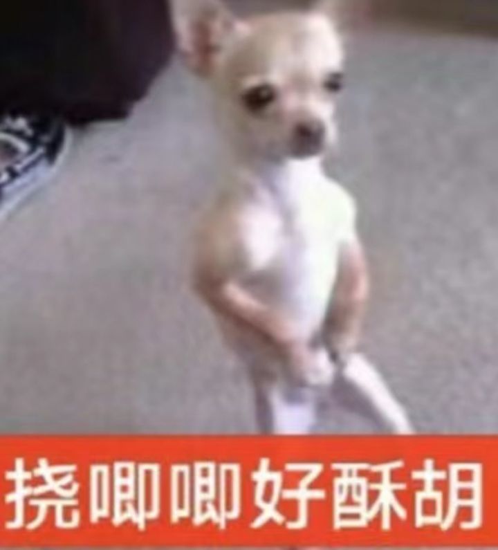 我遇到挂了 气人的东西截图