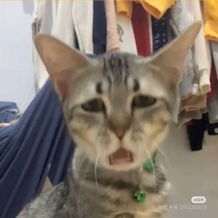 哪个回归大佬绑定一下截图