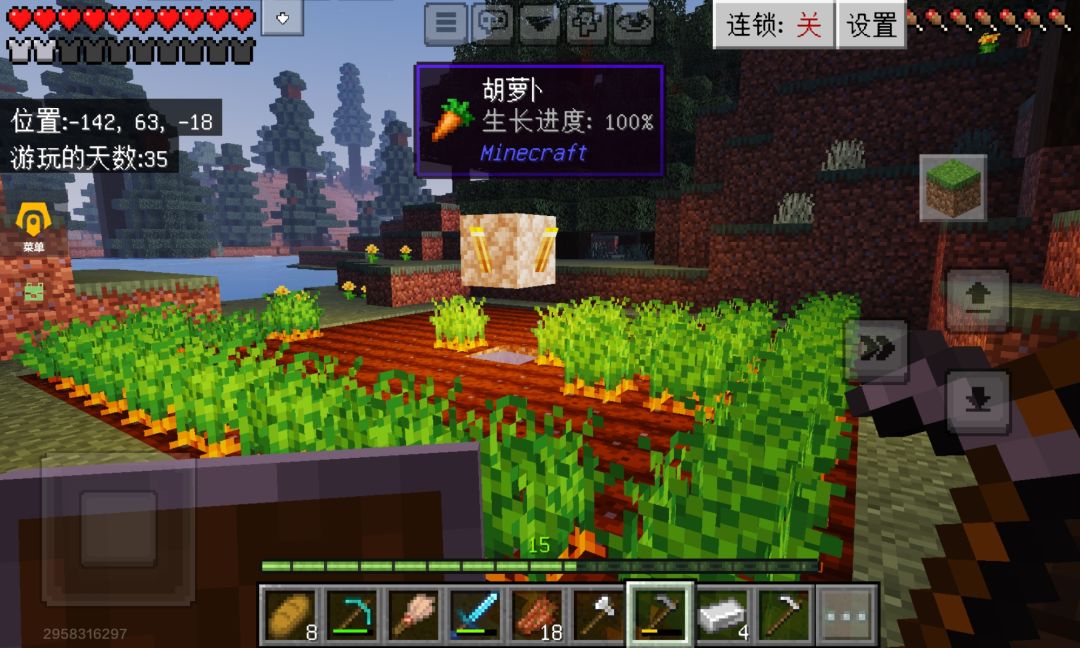 给你们看看我种的菜! 2