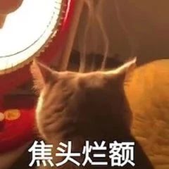 回坑问题截图