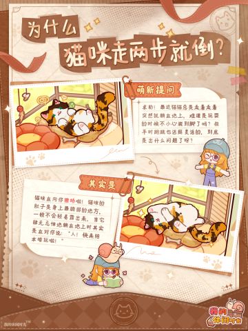 🐈铲屎官手册｜为什么猫咪走两步就倒？