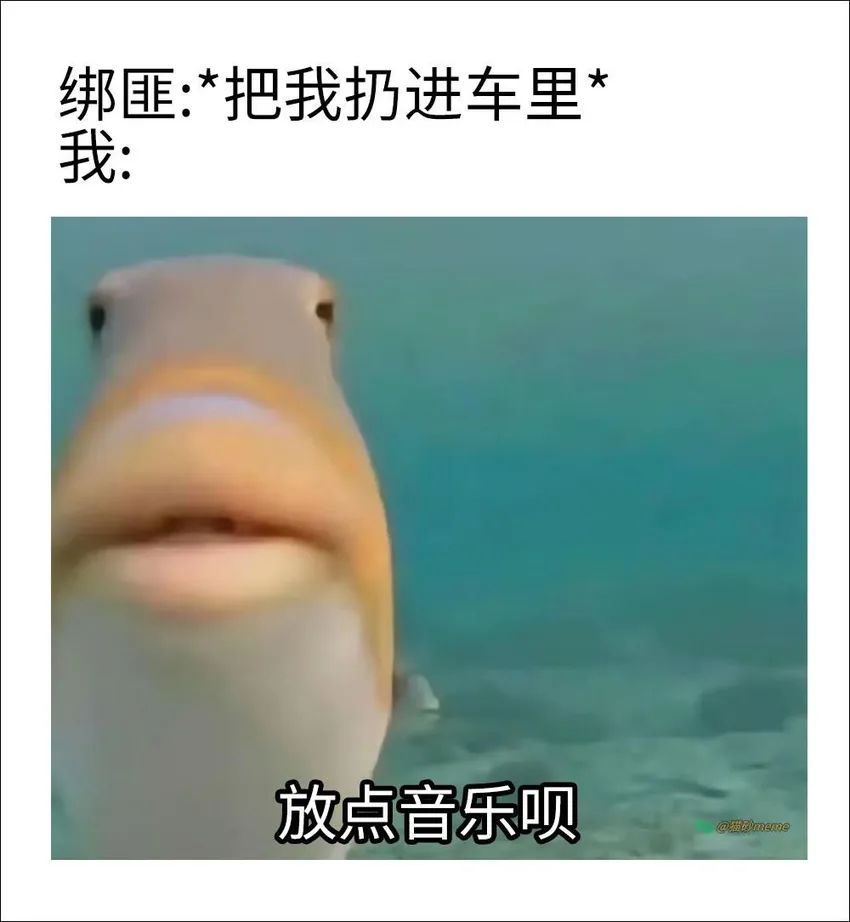 ✨今日份梗图分享第四十二期✨ 3